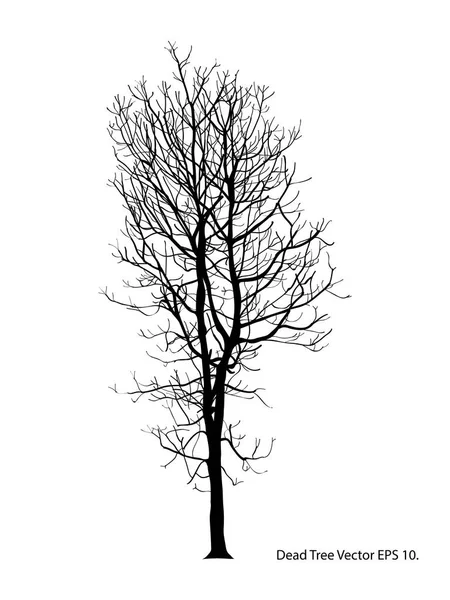 Dead Tree Leaves Vector Illustration Sketched Eps — Stock Vector