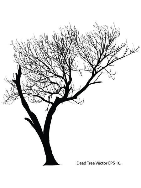 Dead Tree Leaves Vector Illustration Sketched Eps — Stock Vector