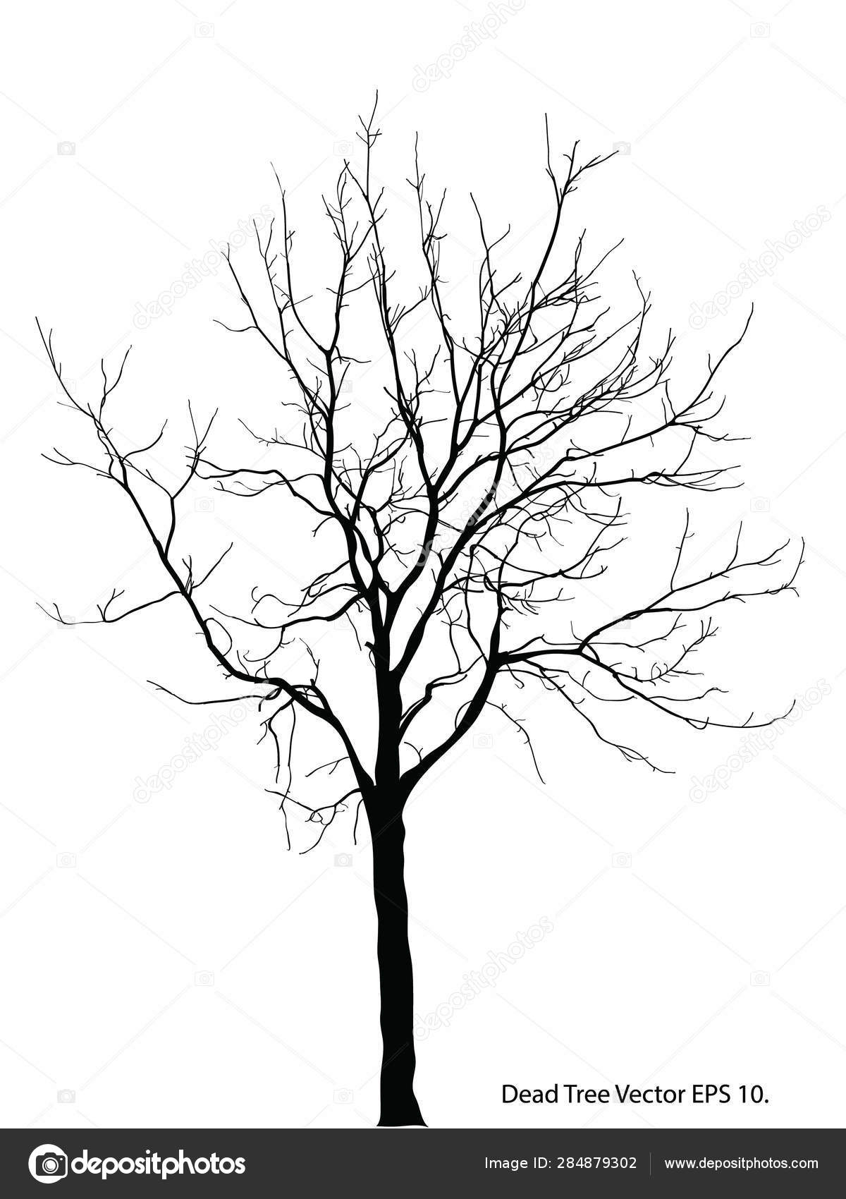 Dead Tree Leaves Vector Illustration Sketched Eps Stock Vector by  ©ohmega1982 284879302, image size:1200x1700