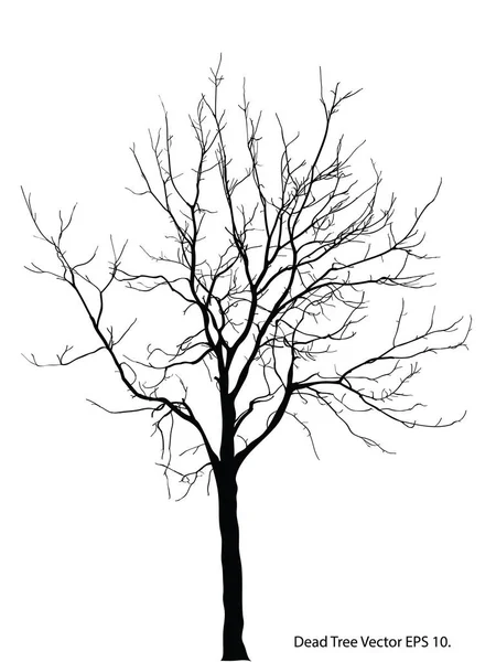 Abgestorbener Baum Ohne Blätter Vektor Illustration Skizziert Folge — Stockvektor