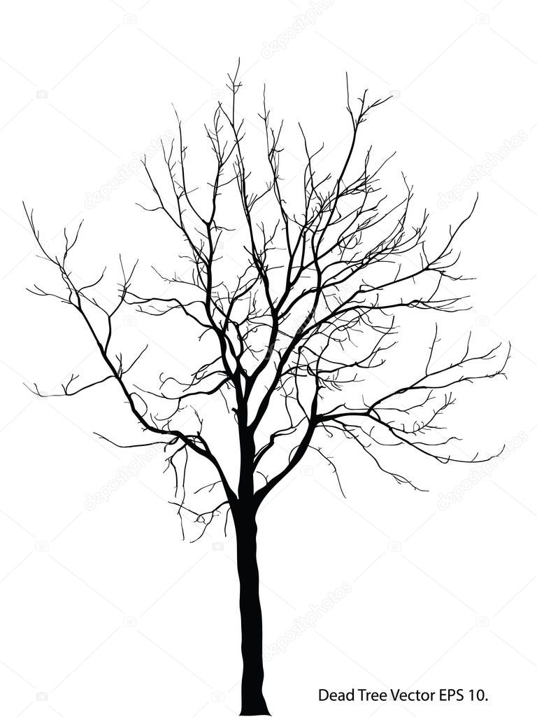 Dead Tree without Leaves Vector Illustration Sketched, EPS 10.