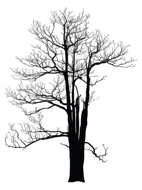 ölü ağaç olmadan kabataslak, vektör çizim eps 10 yaprak.