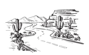 Kuzey Amerika Arizona