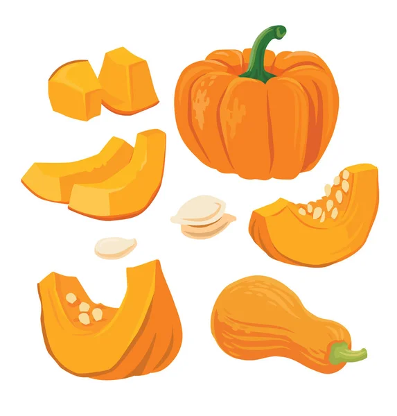 Autumn orange pumpkins — Stock Vector