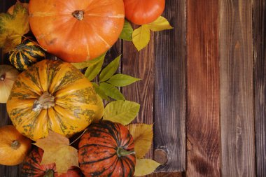 Kabak Şükran arka plan