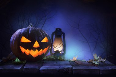 Kabak Koyu orman ile