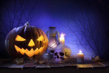 Kabak Koyu orman ile