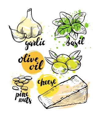 Pesto için İtalyan malzemeler