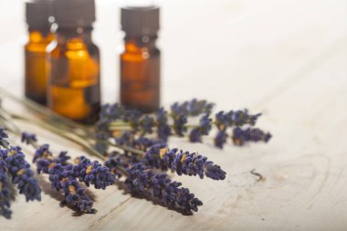 Bir lavanta ve şişe dalı