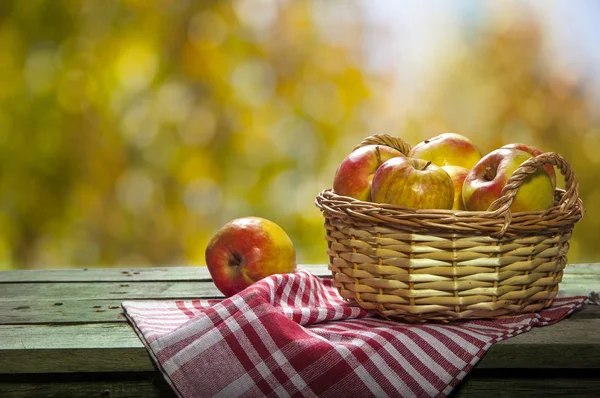 Świeże jabłka w koszyku — Zdjęcie stockowe