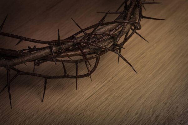 crown of thorns