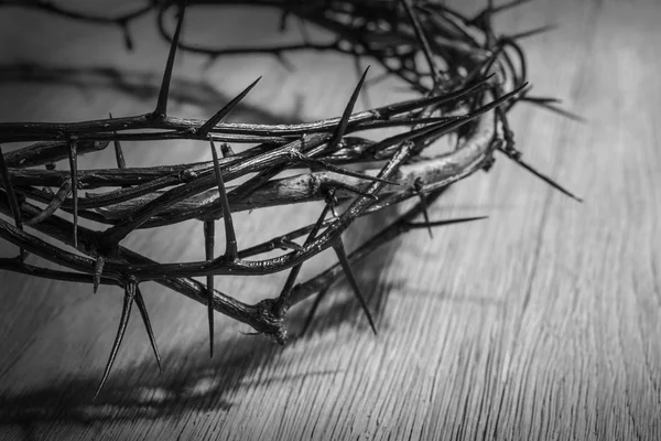 Crown of thorns — Stock Photo, Image