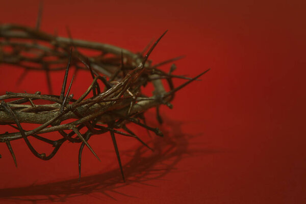 Crown of thorns