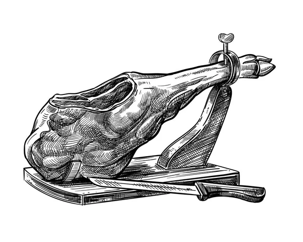Croquis de jamon — Image vectorielle