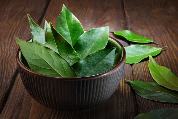 Bay fresh leaf — Stock Photo, Image