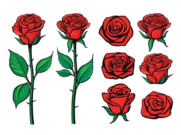 Kwiat róży zestaw — Wektor stockowy