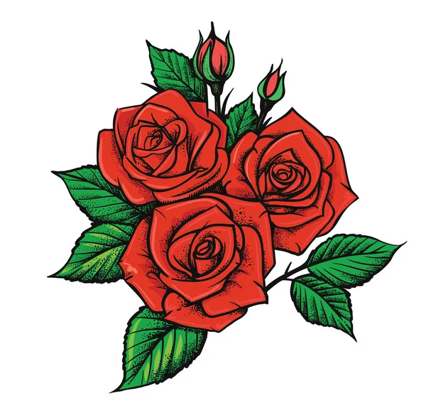 Krásné červené růže — Stockový vektor