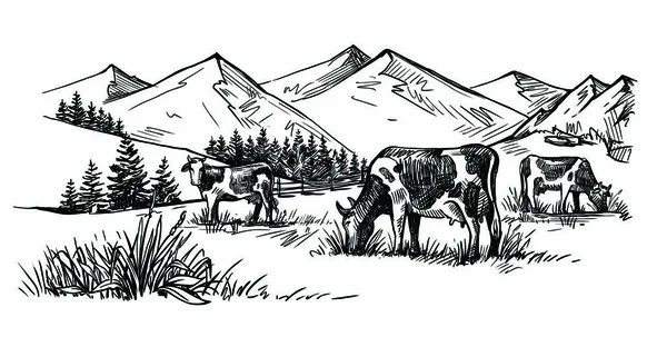 Drei Kühe in den Bergen — Stockvektor