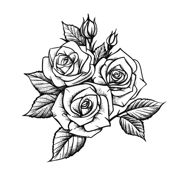 Rosa a mano dibujo — Archivo Imágenes Vectoriales