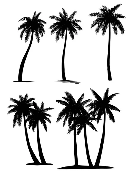 Set de palmeras tropicales — Archivo Imágenes Vectoriales