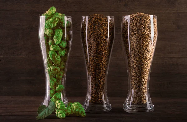 Glas mit Hopfen und Weizen. — Stockfoto