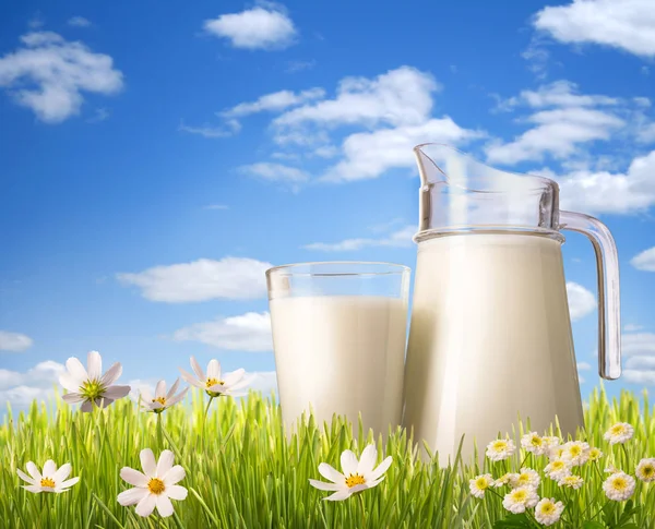 Glas Milch und Krug im Gras — Stockfoto