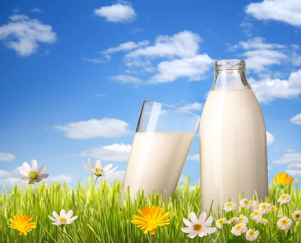 Vidro de leite e garrafa na grama — Fotografia de Stock