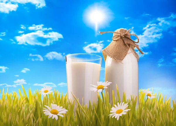 Glas melk en fles in gras — Stockfoto