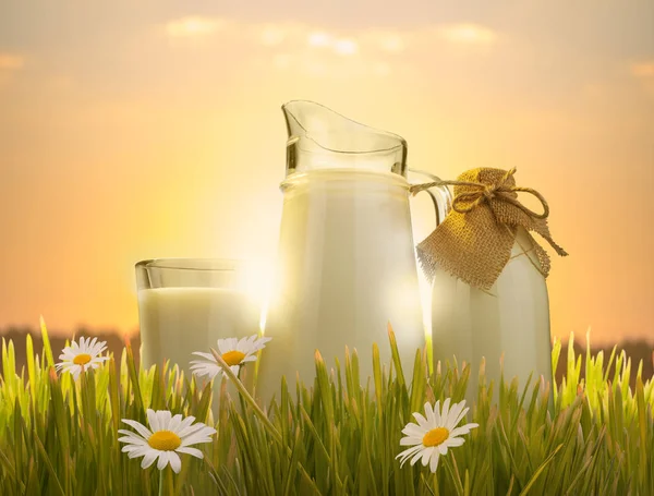 Sklenice mléka a džbánu v trávě — Stock fotografie