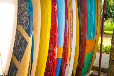 farklı renk surf Komiteler kümesi