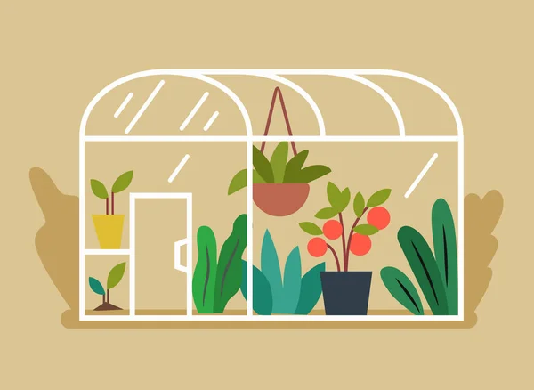 Skleník s rostlinami a zeleninou uvnitř — Stockový vektor
