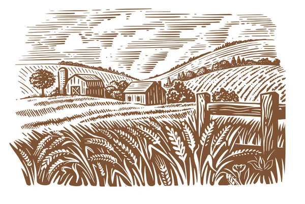 小麦のスケッチの晴れた日のフィールドにある村 — ストックベクタ
