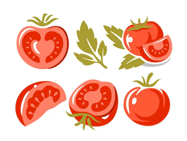 Tomatoes on white background collection — Stock Vector