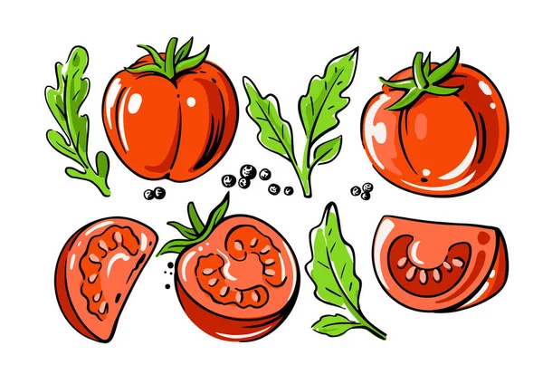 Tomates de colores establecidos sobre fondo blanco — Vector de stock