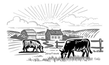 Çiftliğin arka planında çim çiğneyen inekler