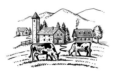 Çiftliğin arka planında çim çiğneyen inekler