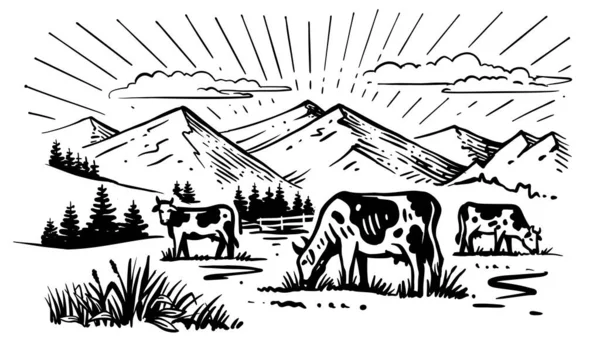 Vacas masticando hierba en el fondo de la granja — Vector de stock