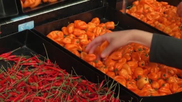 Motie Van Vrouw Kopen Habanero Pepers Binnen Opslaan Opslag Van — Stockvideo