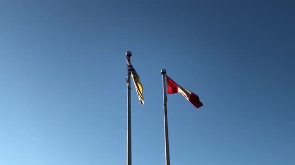 Zeitlupe Der Kanadischen Flagge Die Fahnenmasten Blauem Himmel Weht — Stockvideo