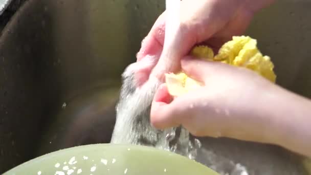 水道水の下のザルで野菜を洗う女のスローモーション — ストック動画