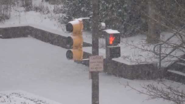 Movimento Semáforo Frio Nevão Neve Inverno Dia — Vídeo de Stock