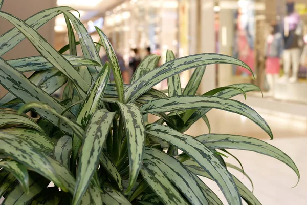 Blur movimento de pessoas que fazem compras dentro Burnaby shopping center — Fotografia de Stock