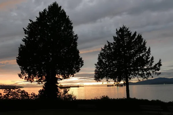 Night scene at Stanley Park in Vancouver BC Canada. — Stockfoto