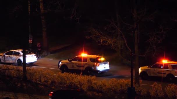 Coquitlam Canada March 2019 Motion Man Driving Car Arrested Police — Stock Video