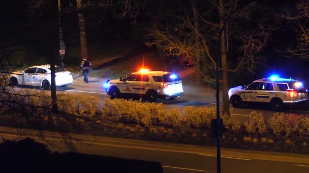 コキットラム カナダ 2019年3月29日 コキットラムBcカナダの夜に警察によって逮捕された車を運転する男の動き — ストック動画