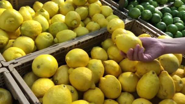 Rörelse Människor Att Köpa Citron Inuti Walmart Store — Stockvideo