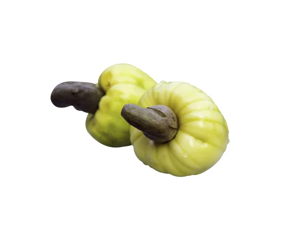 Kešú plody ořechy — Stock fotografie