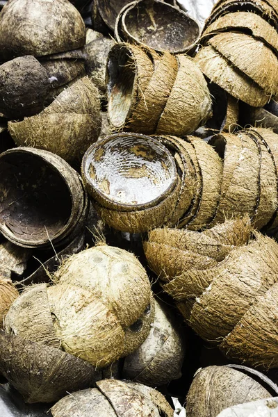 Hromada hnědého starého tropického kokosového skořápky — Stock fotografie