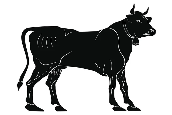 Vache sur fond blanc . — Image vectorielle