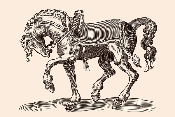 Galoppierendes Pferd Mit Geschirr Und Sattel Isoliert Auf Beigem Hintergrund — Stockvektor